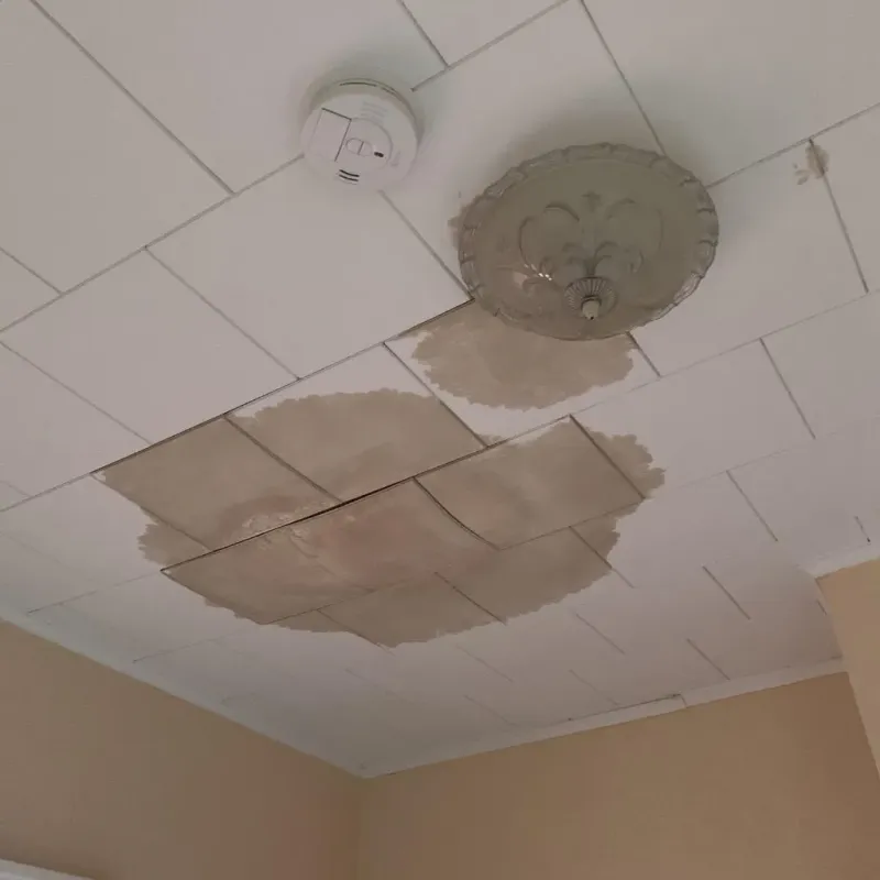 Ceiling Water Damage Repair in Egypt, PA